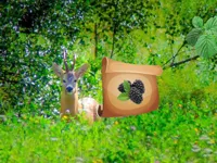 image bg Return To Alsunga Forest