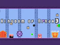 Kingdom of Ninja 3 image