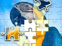 Puzzle Challenge image