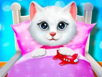 Kitty Bedtime Activities image
