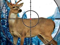 image bg Stag Hunter