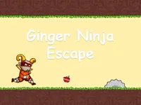 Ginger Ninja Escape image