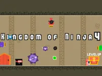 image bg Kingdom of Ninja 4