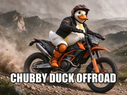 Chubby Duck Offroad image