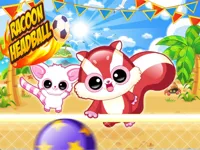 image bg Racoon Headball