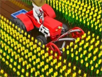 Cut the Grass Cutting Grass image