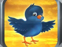 Bird Fly image