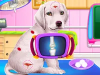 image bg Labrador Puppy Daycare Salon