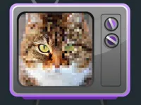 image bg Mystery Pic