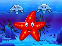 image bg Survival Starfish