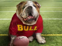 image bg Funny Doggy Puzzle