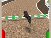 Crazy Real Dog Race image