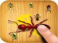 image bg Ants Touch