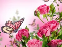 image bg Butterflies Puzzle