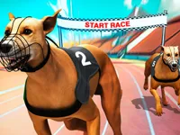 image bg Crazy Dog Racing Fever