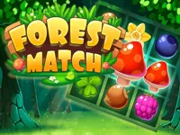 Forest Match image