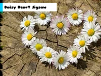 image bg Daisy Heart Jigsaw