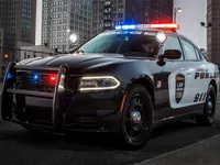 Police Cars Slide image