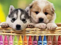 image bg 4GameGround - Puppy Coloring