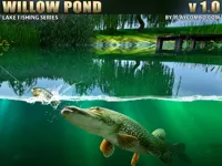 Willow Pond image