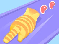 image bg Cat Evolution