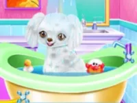 image bg My New Poodle Friend - Pet Care Game