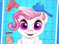 image bg Pet Wash