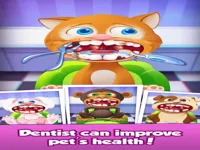 image bg Funny Pet Vet