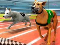 Dogs3D Races image