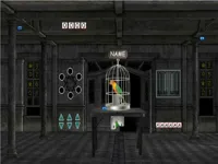 image bg Parrots Escape