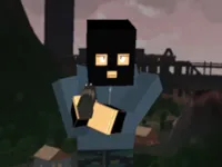 Multiplayer Battle Royale image