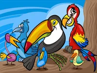 Exotic Birds Coloring image