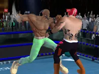 image bg Real Boxing Fighting Game