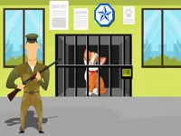 image bg Animals Rescue