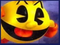PAC MAN Revenge image