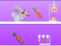 image bg Rabid Rabbit
