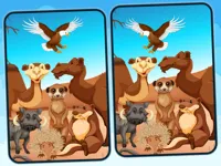 image bg Spot 5 Differences Deserts