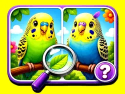 Budgie Spot the Difference image