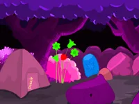 image bg Calm Forest Escape