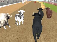 image bg Bull Racing