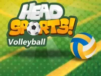 image bg Head Sports Volleyball