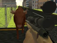 image bg Angry Bull Shooter