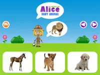 World of Alice - Baby animal image
