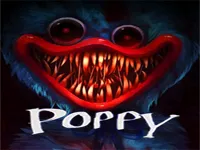 image bg Poppy Play Night