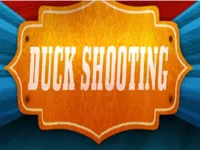 image bg DuckShooting