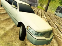 image bg Limousine Hill Drive