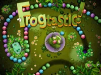 image bg FROGTASTIC Zumba