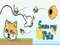 image bg Pets Sever