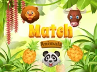image bg Match Animals
