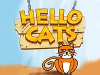 image bg HELLO CAT